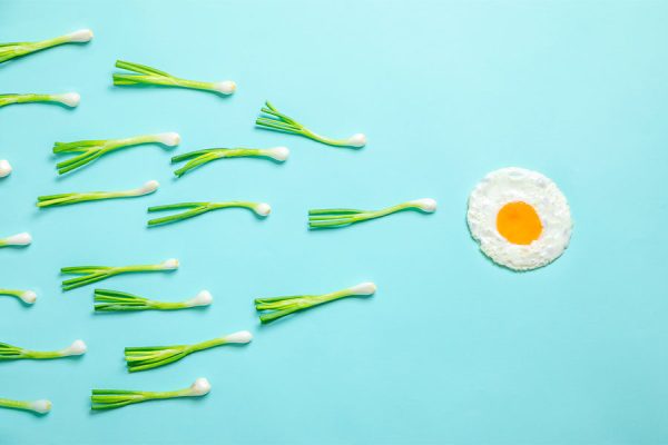 Panduan Nutrisi: 10 Makanan yang Menunjang Kesehatan Reproduksi